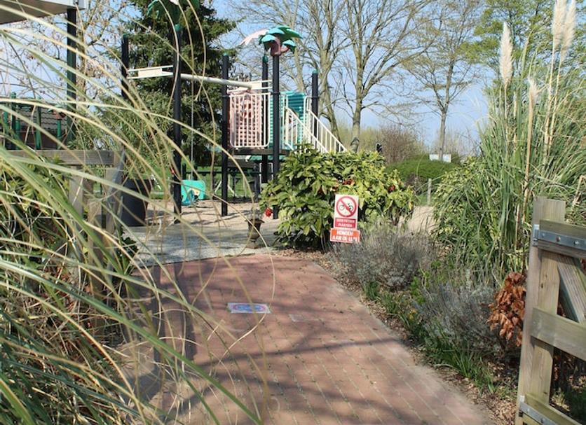 Other Photo