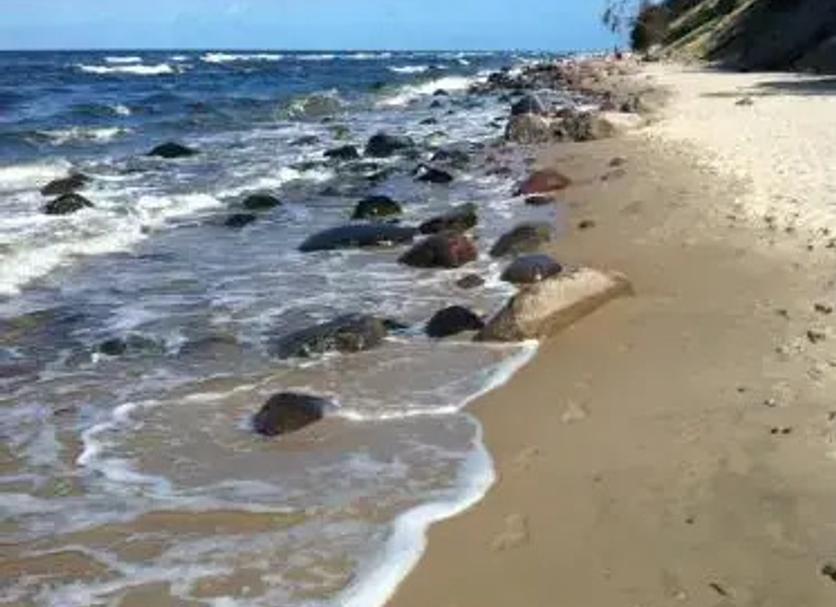 Beach Photo