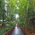 Outdoors view