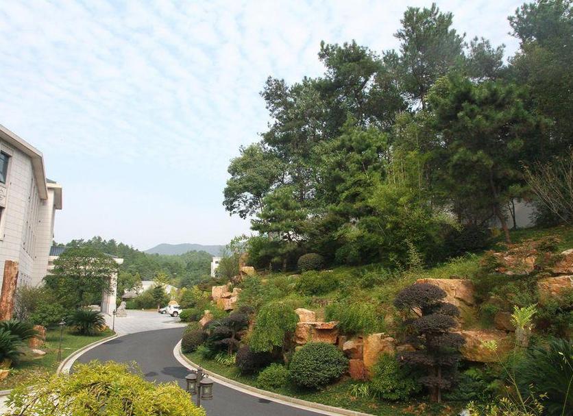 Outdoors view Photo