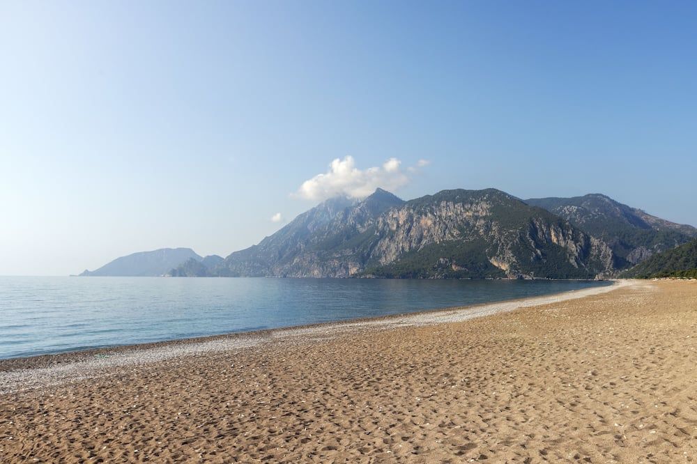 Beach Photo