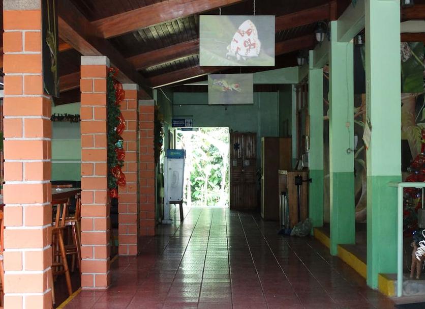 Other Photo