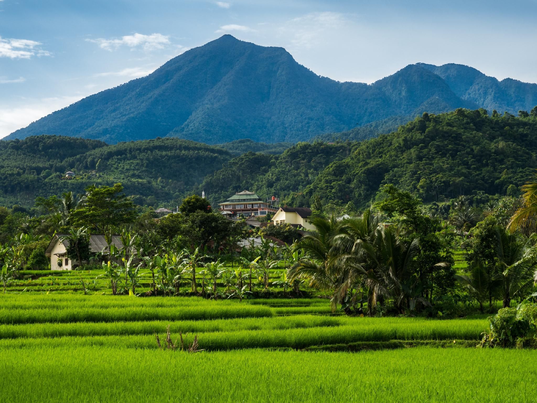 Outdoors view