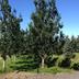 Outdoors view