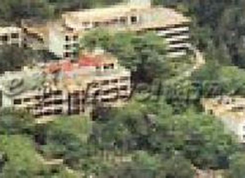 Other Photo