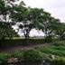 Outdoors view