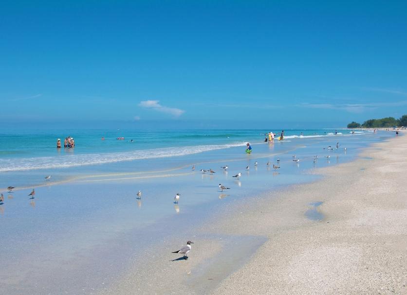 Beach Photo