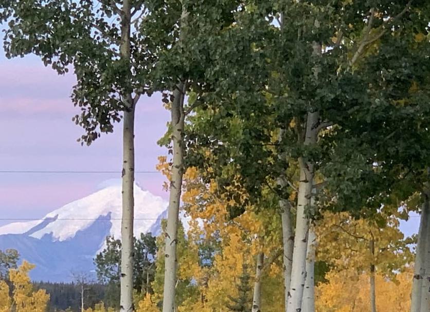 Outdoors view Photo