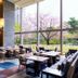 Grand Prince Hotel Takanawa in Tokyo lobby lounge with floor-to-ceiling garden views and cherry blossoms