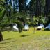 Hotel La Costera in A Lanzada garden with white lounge chairs and a fountain among trees