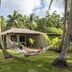 Coconut Beach Resort, Tavewa Island: guests relaxing in a hammock amid palm trees beside a bungalow