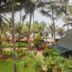 The Yuppi Hippi Beachpackers Hostel in Anjuna with lush tropical garden and palm trees