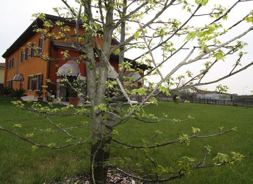 Outdoors view Photo