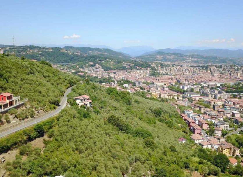 Outdoors view Photo