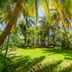 Lush tropical garden with palm trees at Franklyn D. Resort & Spa in Runaway Bay