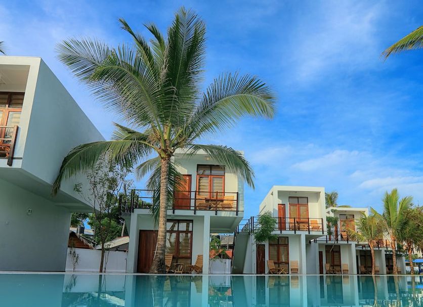 Arugambay Roccos in Arugam with palm trees and modern villas by a blue pool under clear sky