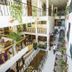 Ideal Villa Hotel in Port Au Prince, airy atrium with hanging plants, balconies and dining tables