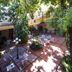 Ideal Villa Hotel in Port Au Prince courtyard with tables, chairs, umbrellas and lush tree canopy