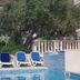Apartments Antonio in Cavtat with outdoor pool, blue lounge chairs, and a balcony beside a large tree