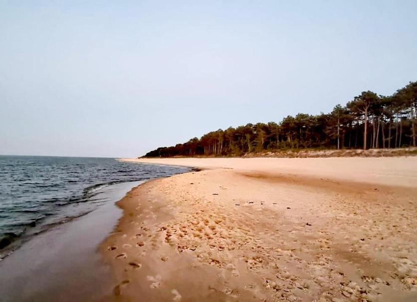 Beach Photo