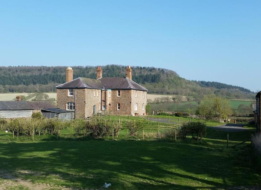 Other Photo