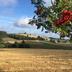 Outdoors view