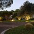 Tenuta Cavalieri in Leverano garden with lit trees and cacti at dusk