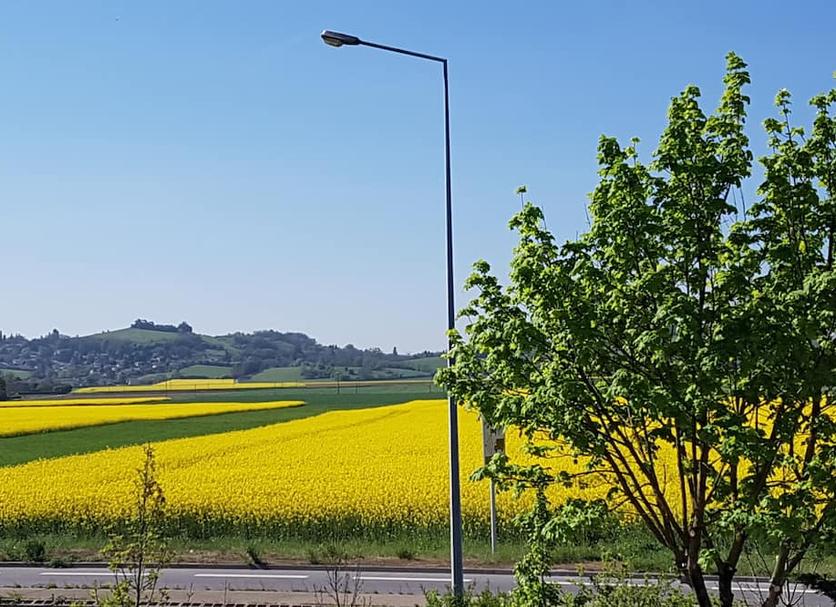 Outdoors view Photo