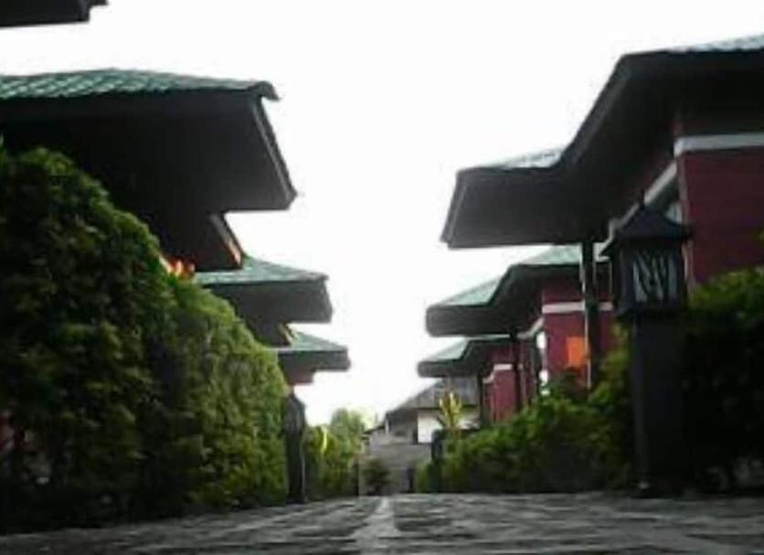 Other Photo