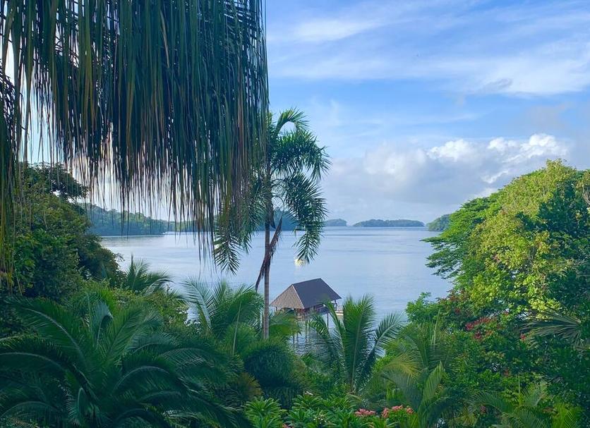 Outdoors view Photo