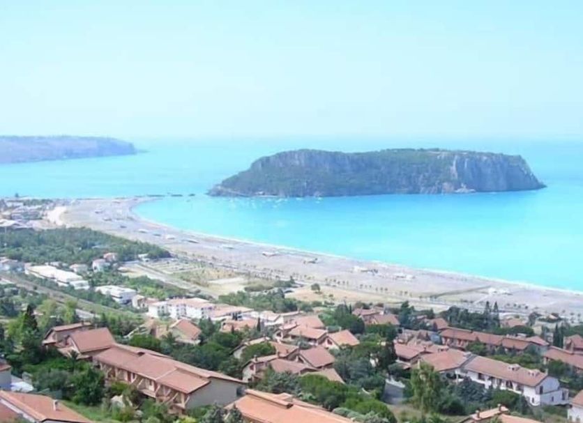 Other Photo
