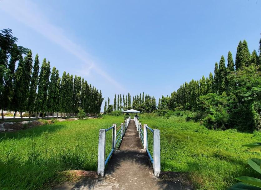 Outdoors view Photo