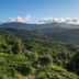 Agriturismo Cerrolungo in La Spezia with hillside vineyard and mountain views
