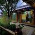 Outdoors view