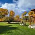 Buffalopeaks Lodge in Buena Vista with a landscaped lawn, autumn trees, and mountain views