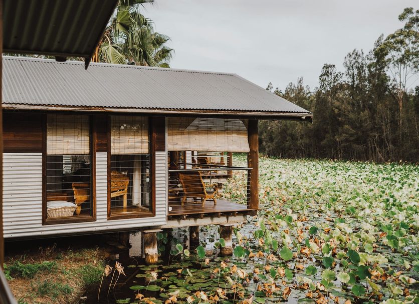 The Boathouses at Leaves & Fishes in Lovedale, lakeside cabin overlooking lily pads and palm trees