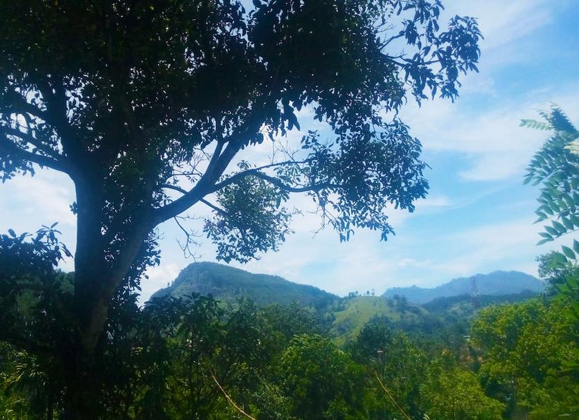 Outdoors view Photo
