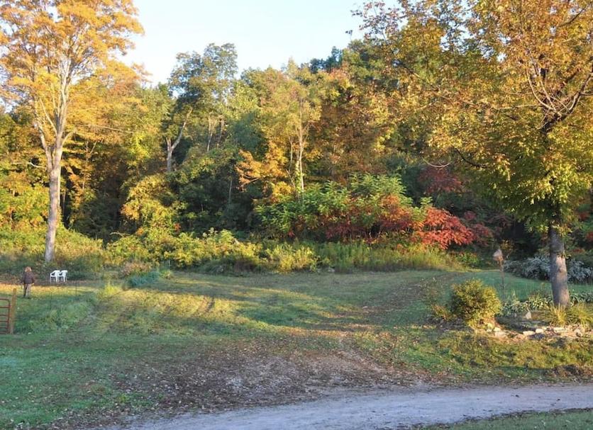 Outdoors view Photo
