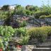 Il Borgo di Campi in Riomaggiore, terraced stone garden with stairs and lush greenery