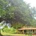 Outdoors view