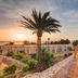 Sunset ocean view and palm-lined terrace at SBH Monica Beach Resort in Costa Calma