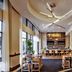 Hilton Asheville Biltmore Park lounge with bar seating, high ceilings and large windows in Asheville