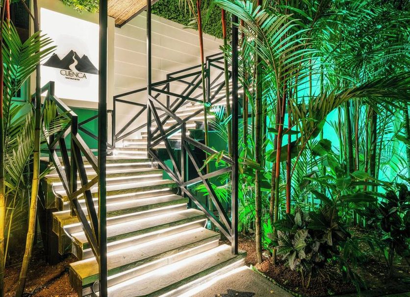 Stairs Photo