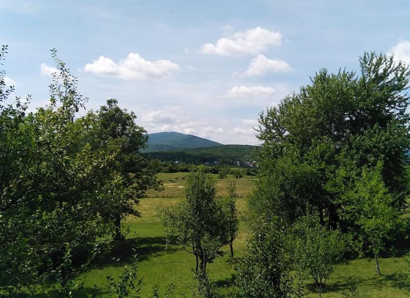 Outdoors view Photo