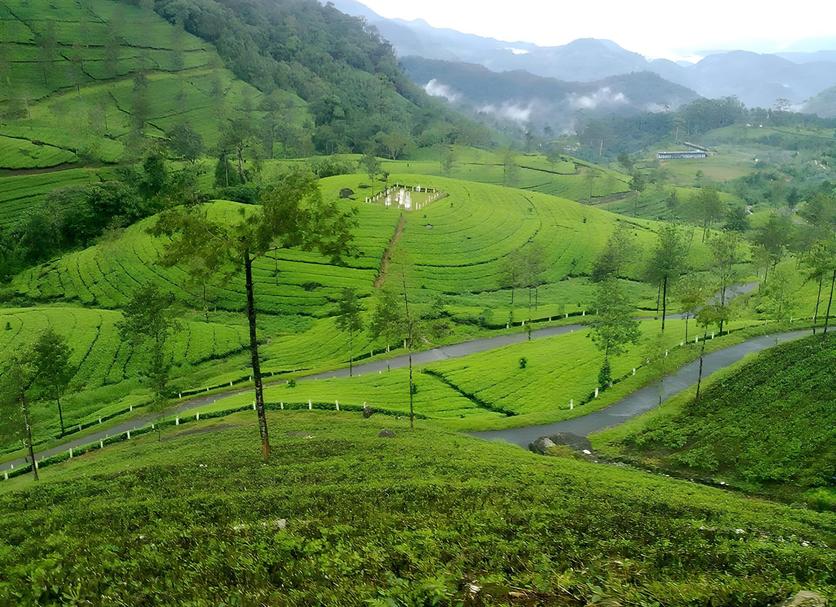 Outdoors view Photo