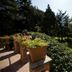 Montebelli Agriturismo & Country Hotel in Grosseto terrace with potted flowers and garden views