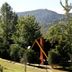Outdoors view