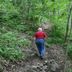 Wildberry Lodge Leicester hiking trail through lush forest with a guest walking uphill