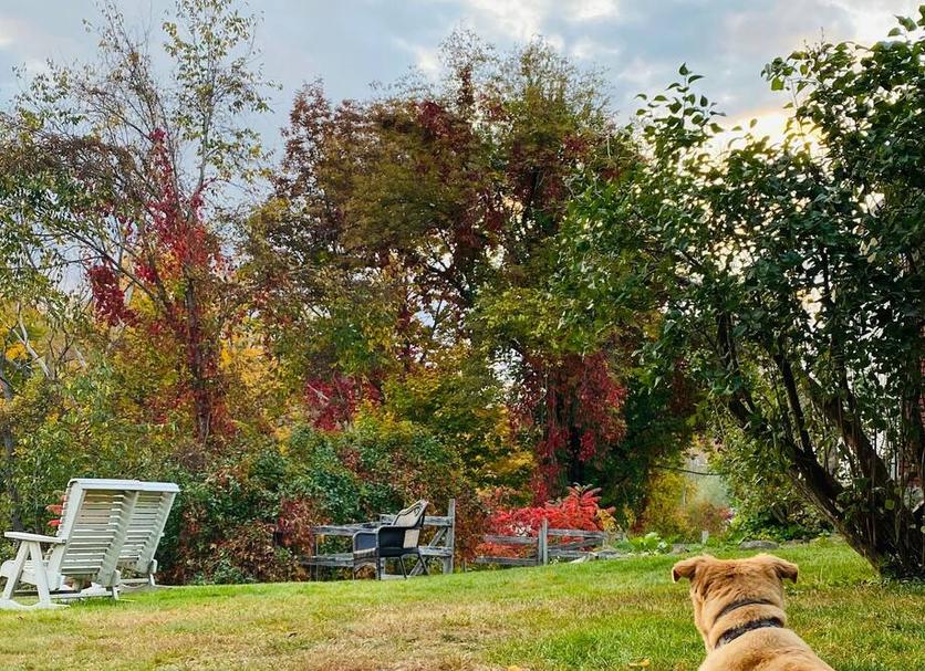 Outdoors view Photo