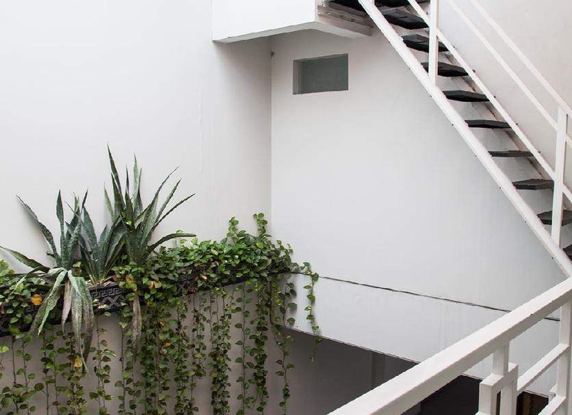 Stairs Photo